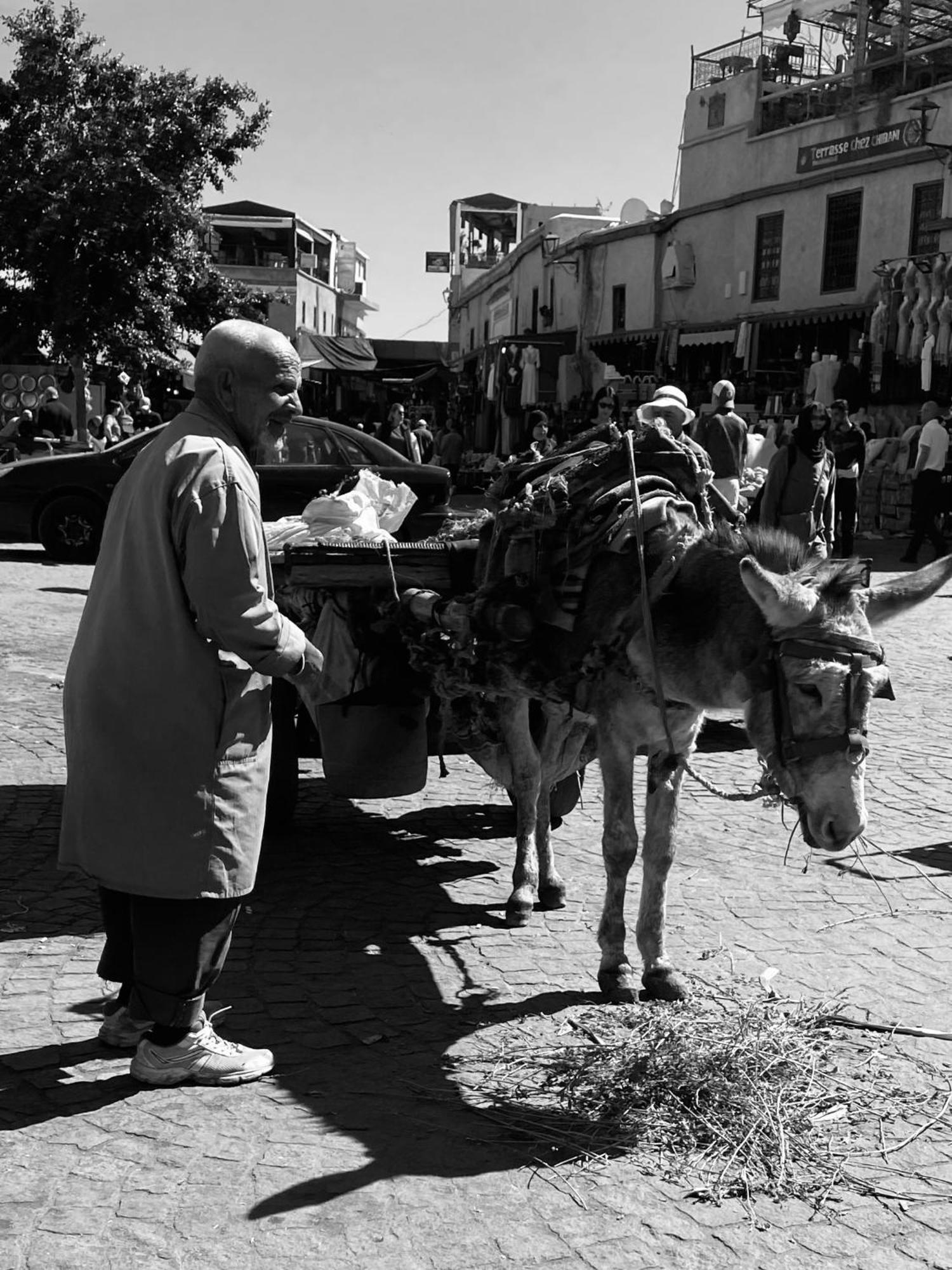 Alamine 4* Marrakesh
