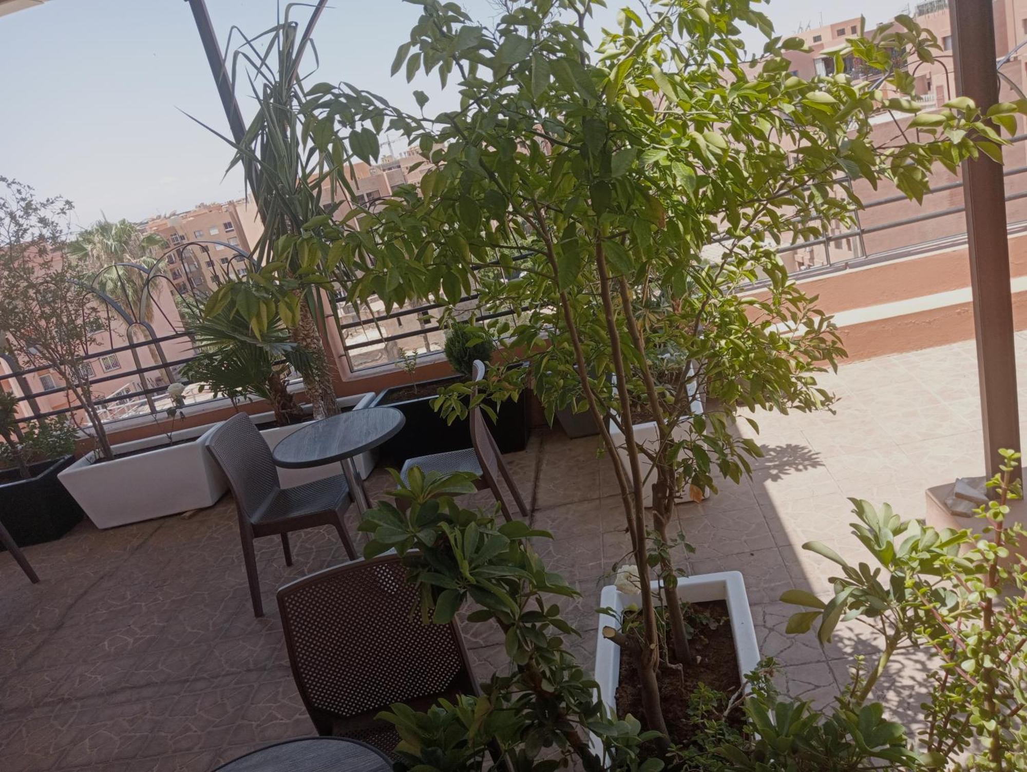 Gomassine Marrakesh