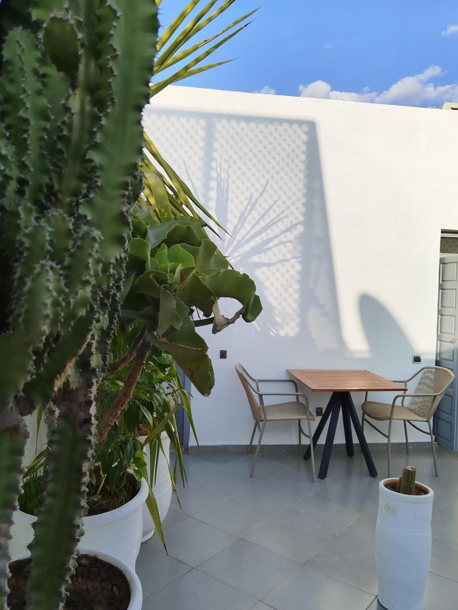 L'arganier Marrakesh