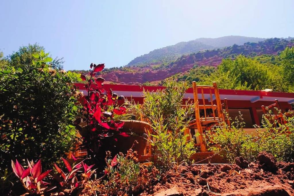 Ourika Atlas Vu Panoramique Avec Piscine Privee Apartamento Marrakesh