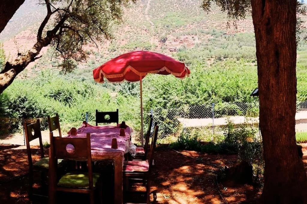 Ourika Atlas Vu Panoramique Avec Piscine Privee Apartamento *