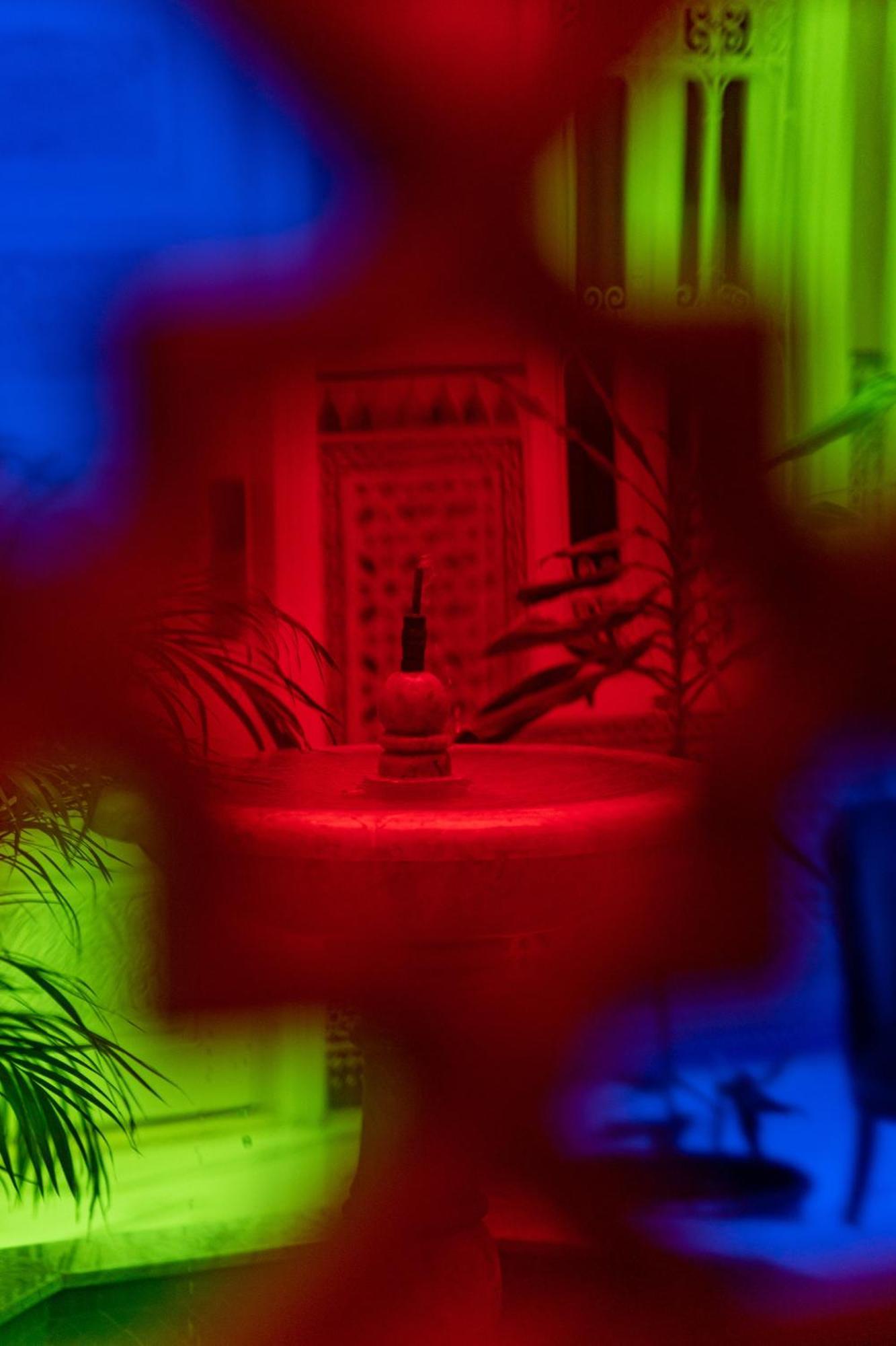Chami Riad