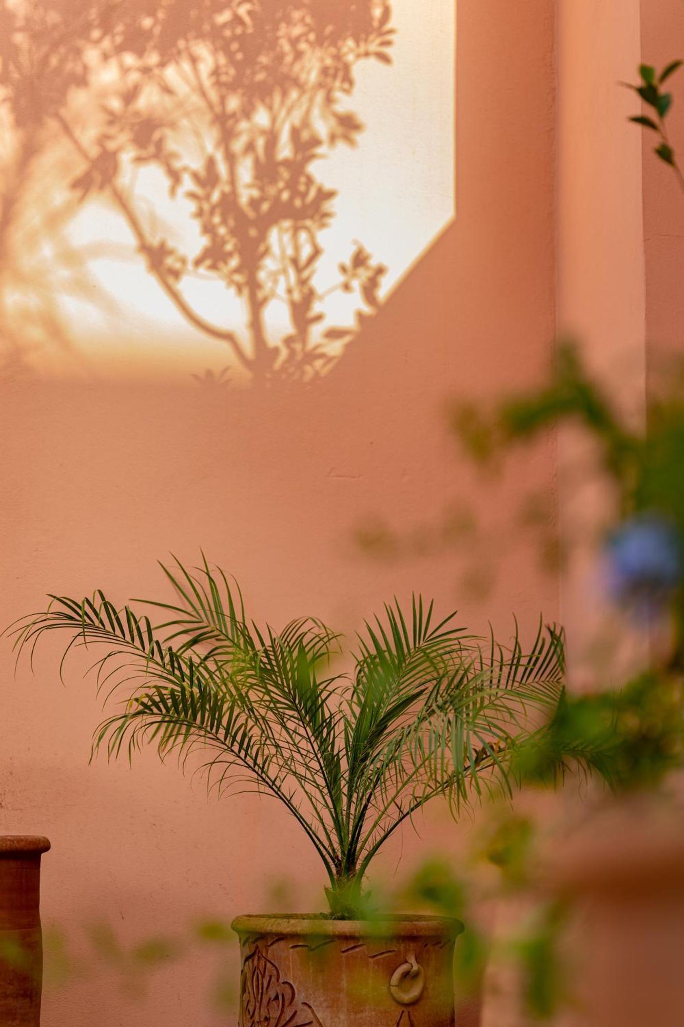 Riad Chami