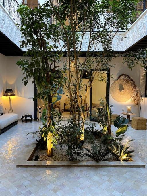 Holiday home Wadiya, Privatif, Piscine En Rooftop. *