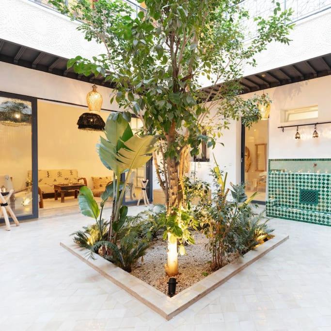 Holiday home Wadiya, Privatif, Piscine En Rooftop.