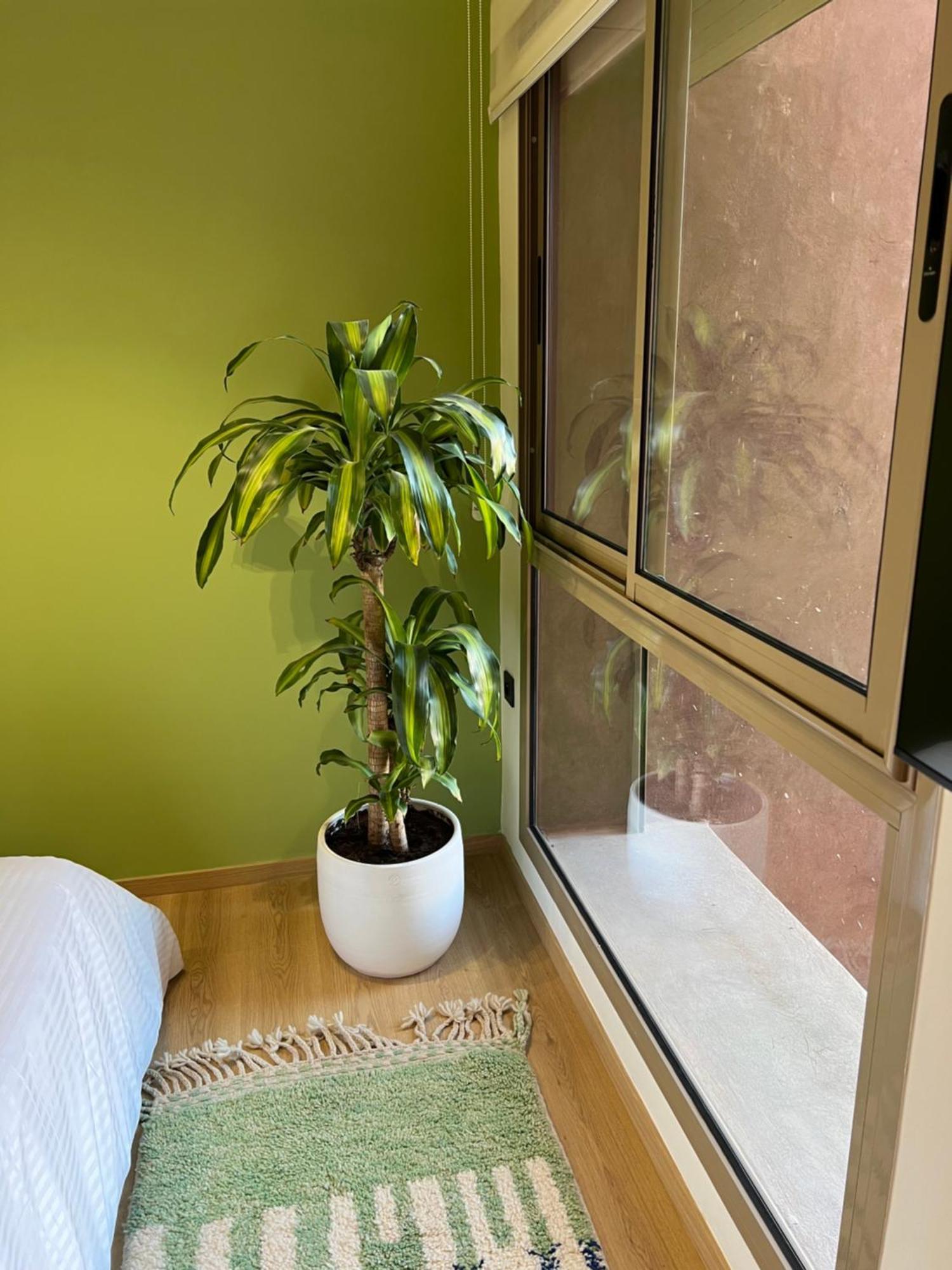 Luxe A Louer Pour Les Familles Apartment Marrakesh