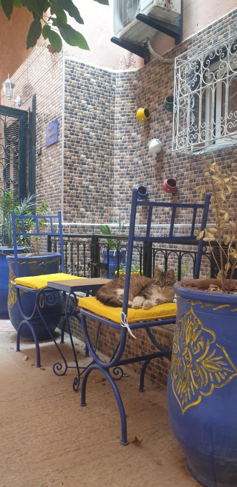 Ramona Lqariya Seyaheya Marrakesh