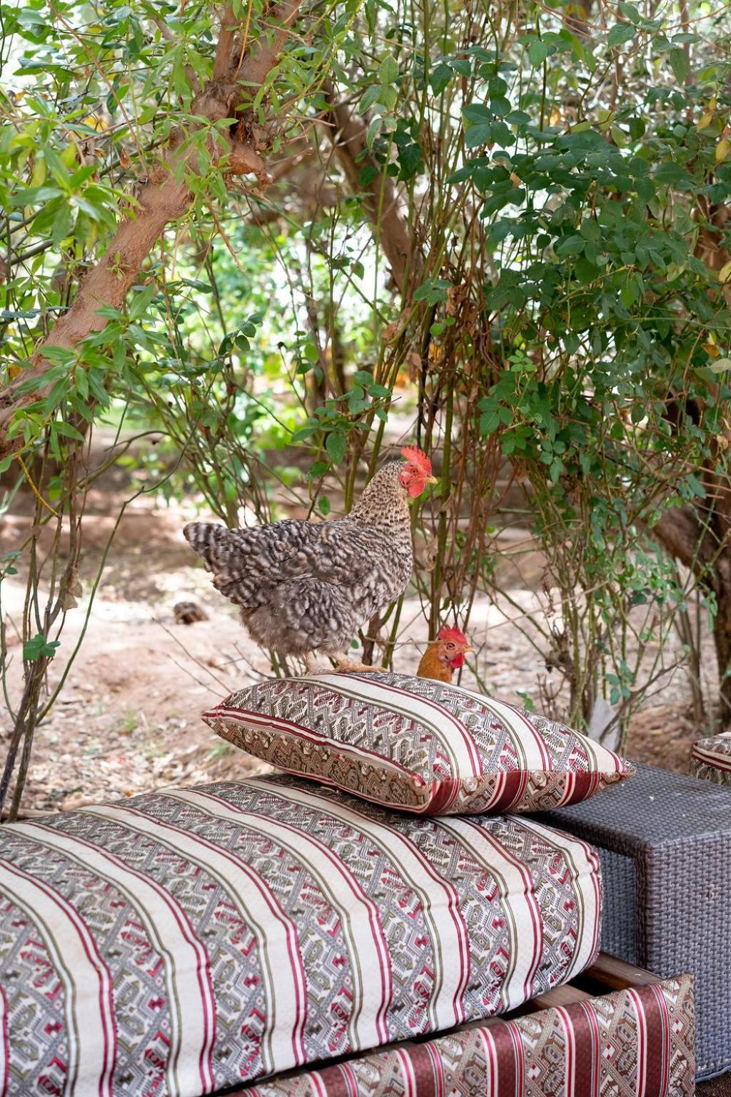 La Ferme Des Tipis Marrakech Tenda de luxo