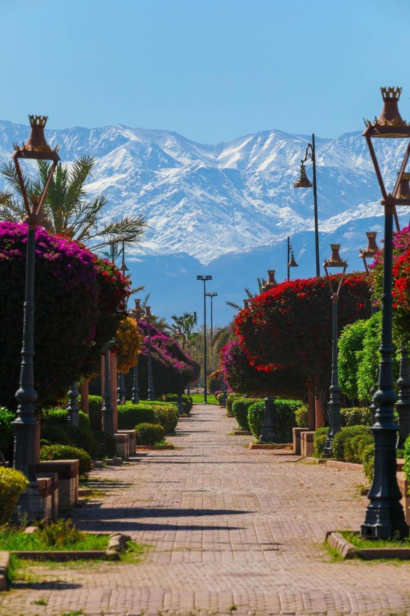 Apartamento Majestic Marrakech *
