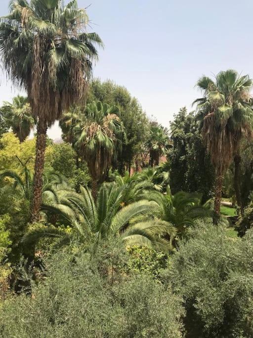 Pousada Riad Lalla Fatima- Touristique Al Qaria Assiyahia- Services All-inconciergerie Marraquexe