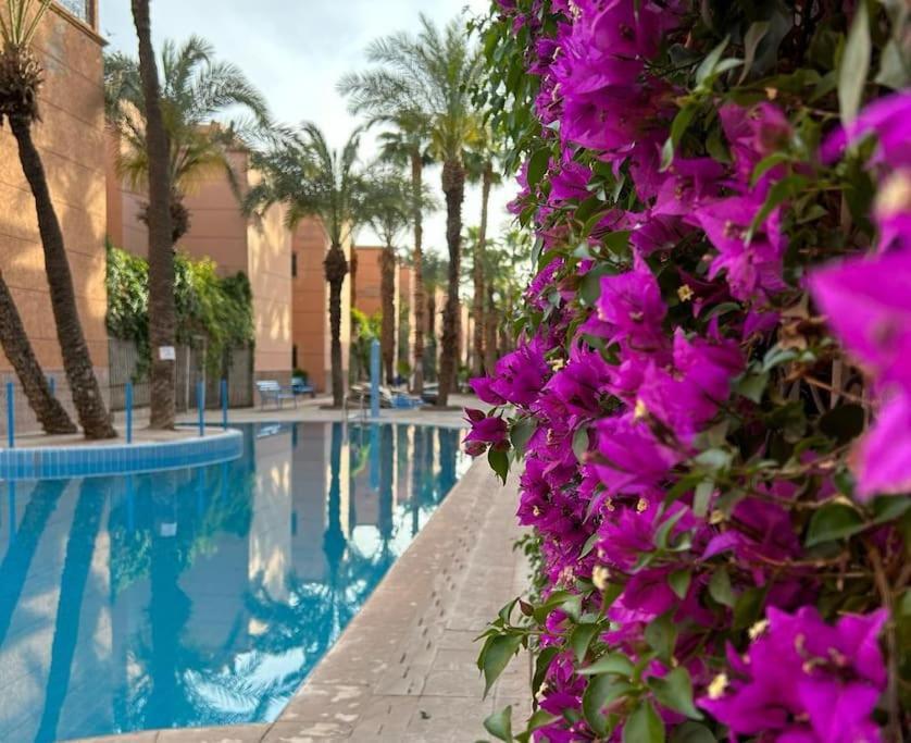 Pousada Riad Lalla Fatima- Touristique Al Qaria Assiyahia- Services All-inconciergerie