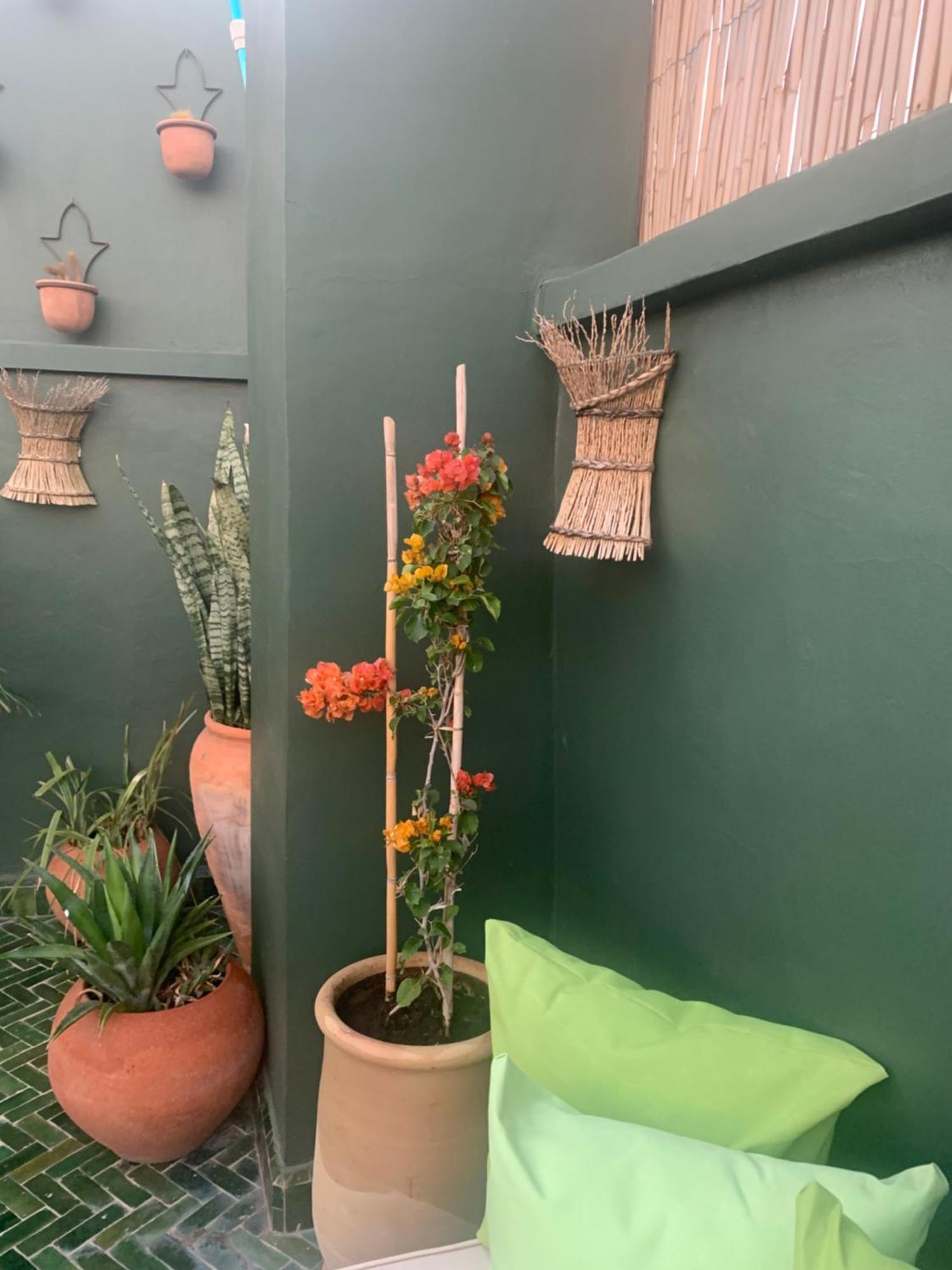 Riad Riad Olive Privatif 4 Personnes Marraquexe