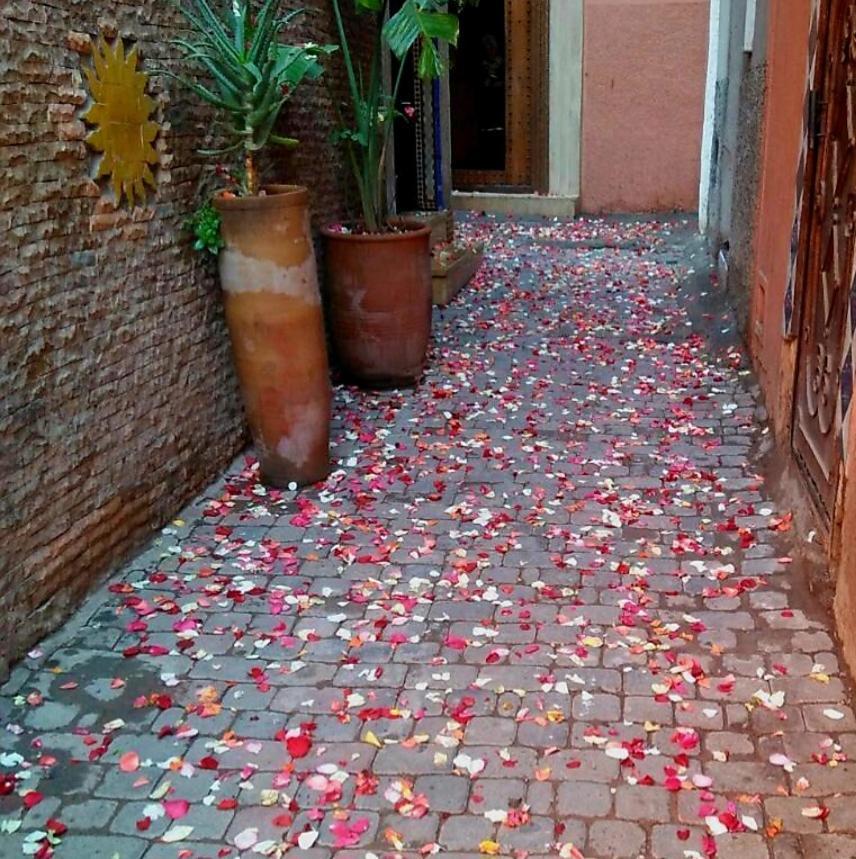Awa Riad 4*
