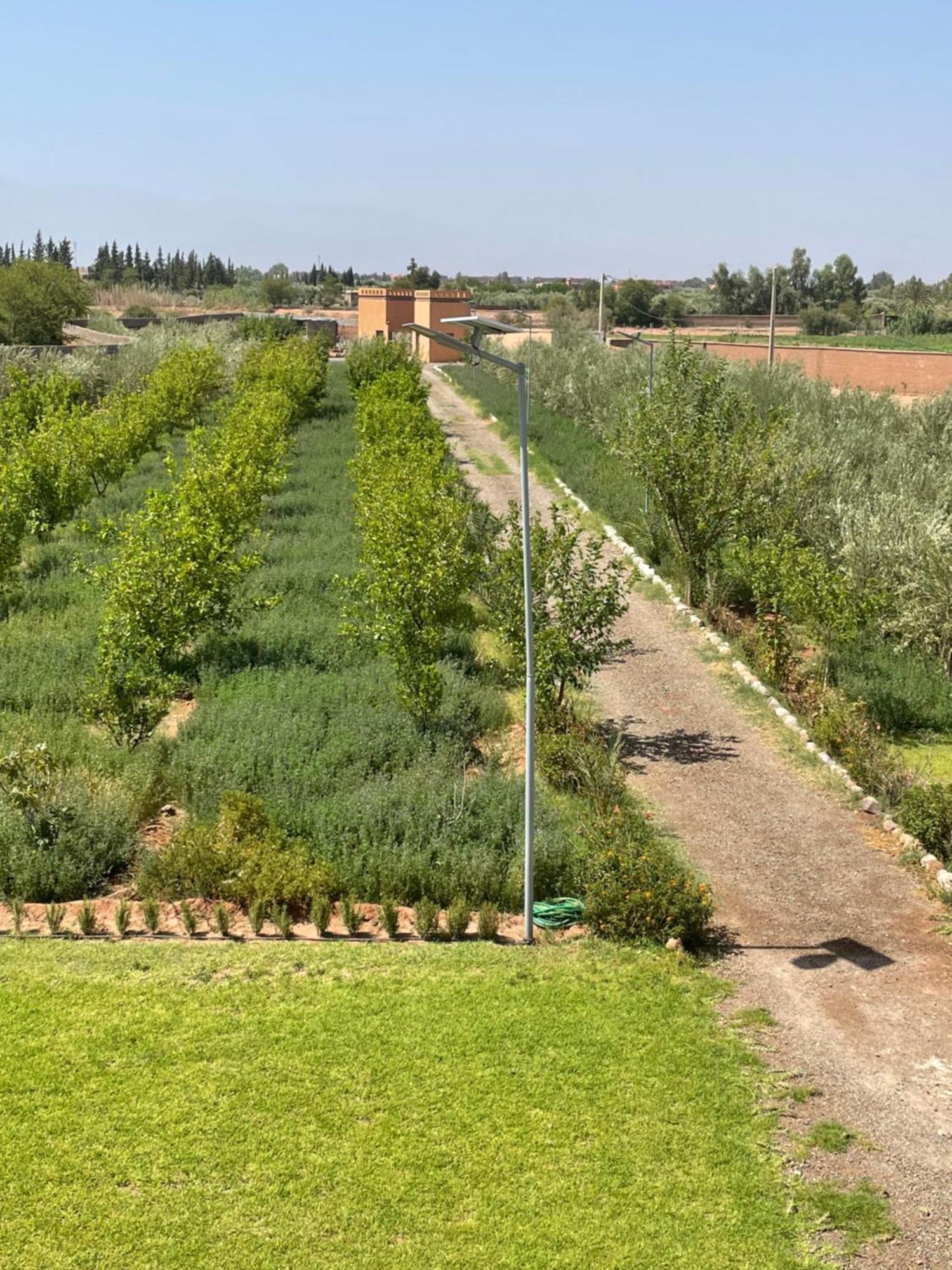 Atlas Farm Strictement Pour Les Familles *