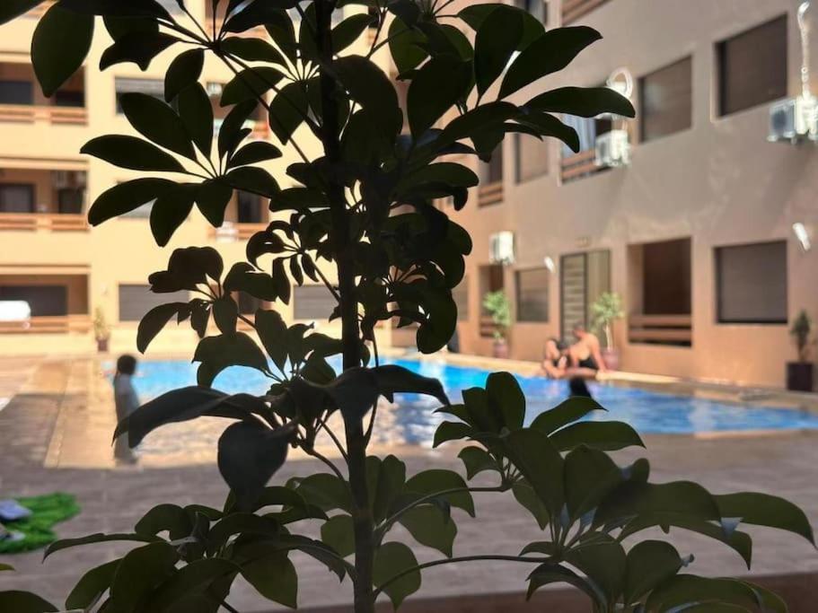 Apartment De Charme Au Coeur De Marrakech/gueliz Marrakesh