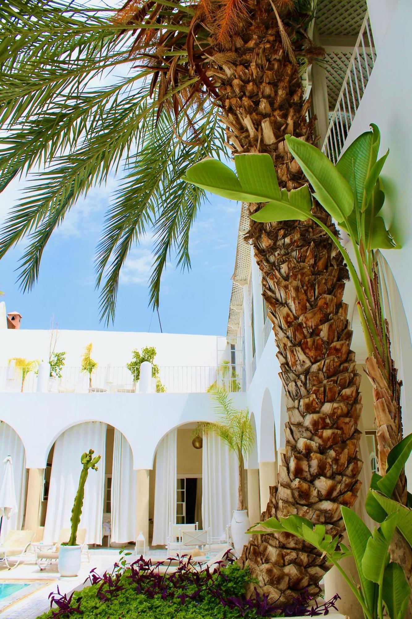 Palais Blanc & Marrakesh