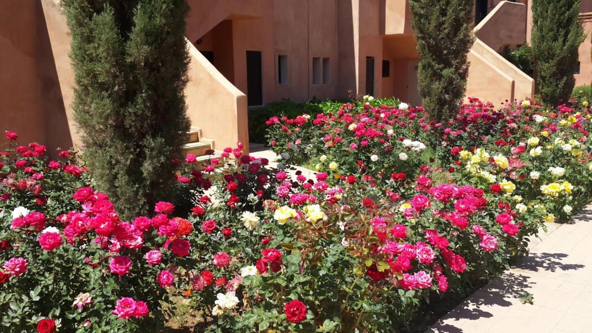 La Perle De L'atlas By Golf Apartment Marrakesh
