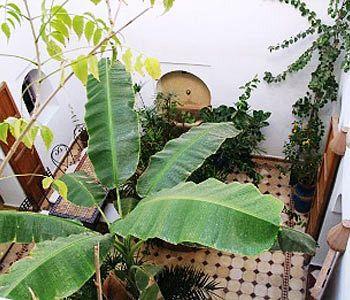 Johana 2* Marrakesh