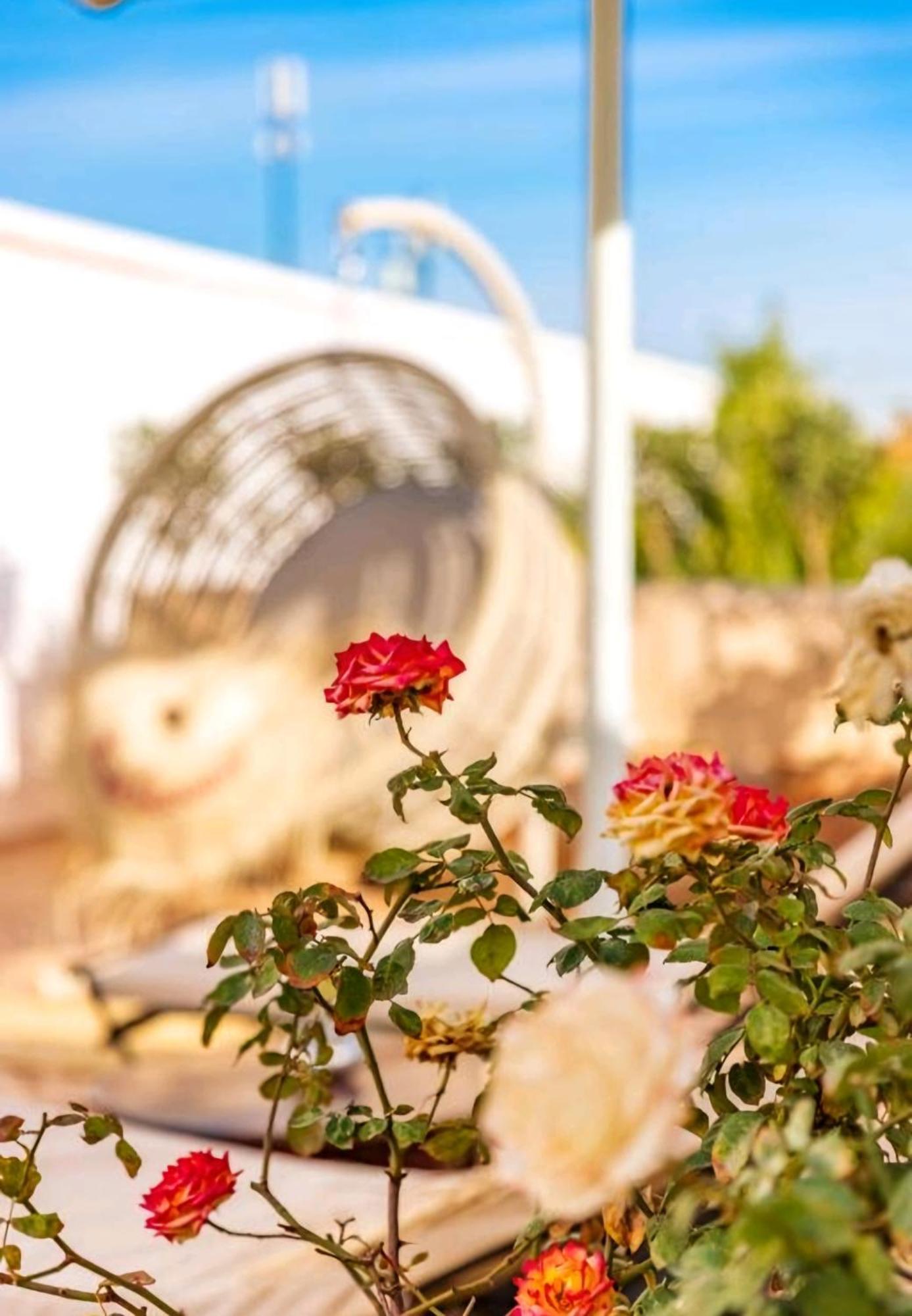 La Perle De L'atlas By Golf Apartment Marrakesh