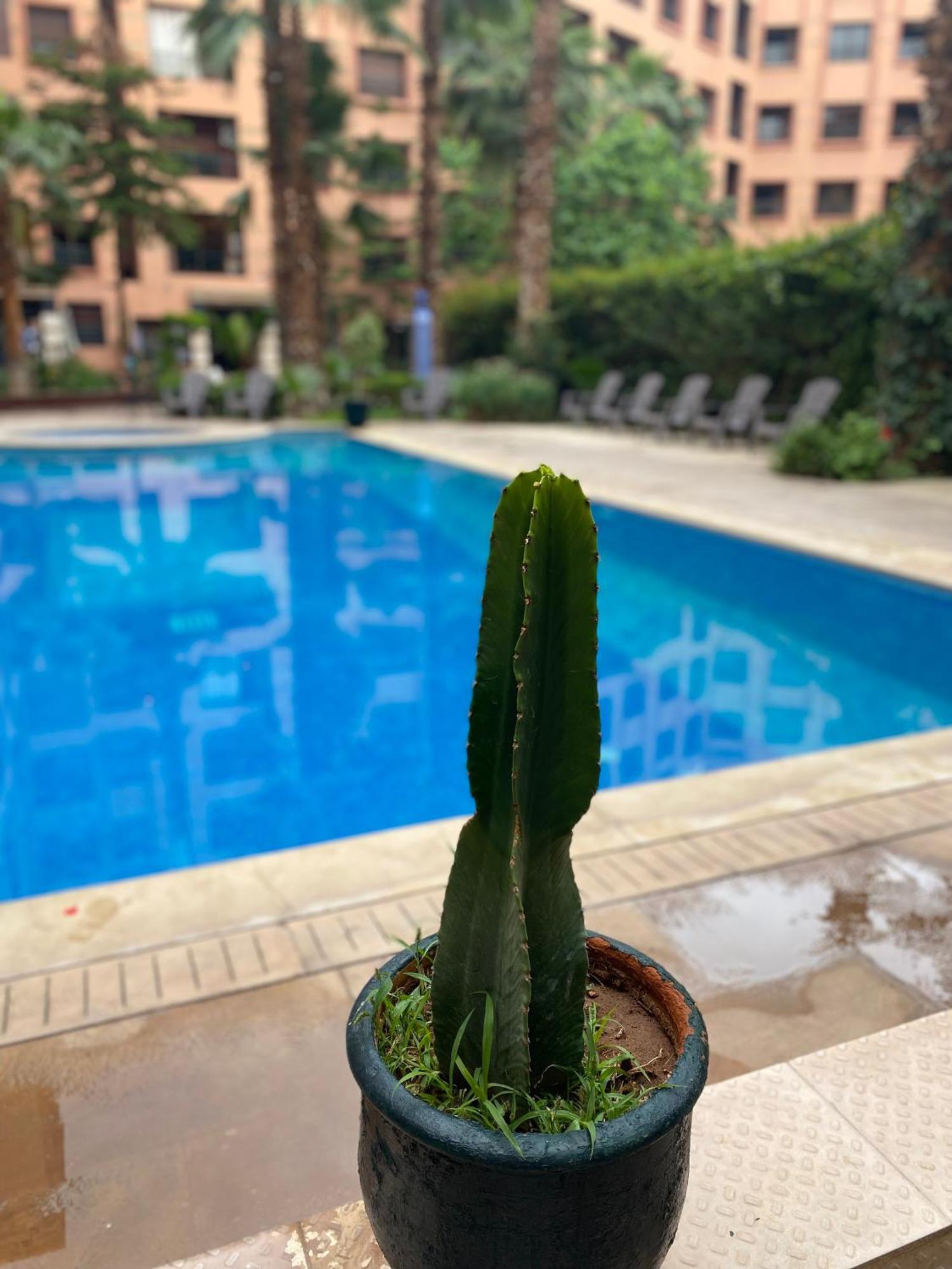 Appartement Résidence Caprice Palace Hivernage Marrakesh