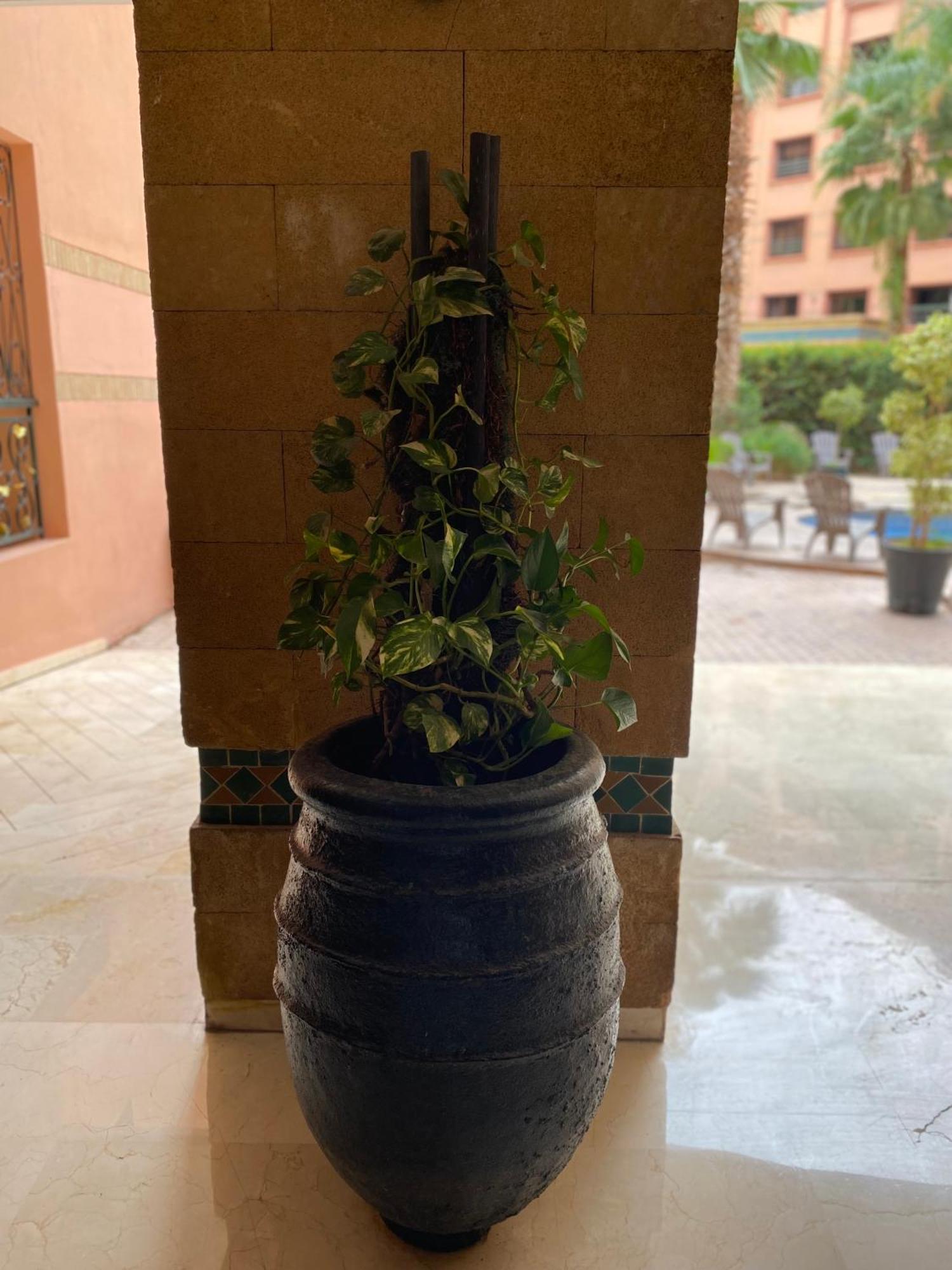 Résidence Caprice Palace Hivernage Appartement Marrakesh