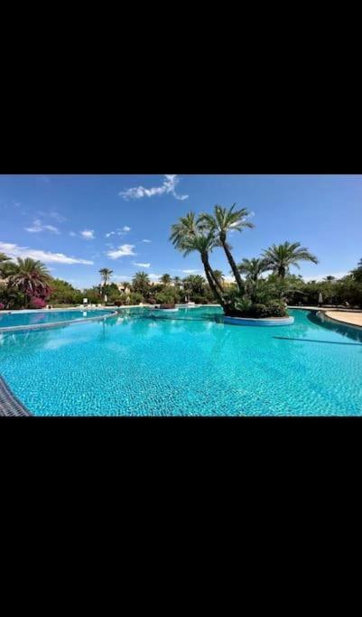 Apartment Superbe Palmeraie Marrakech Marrakesh