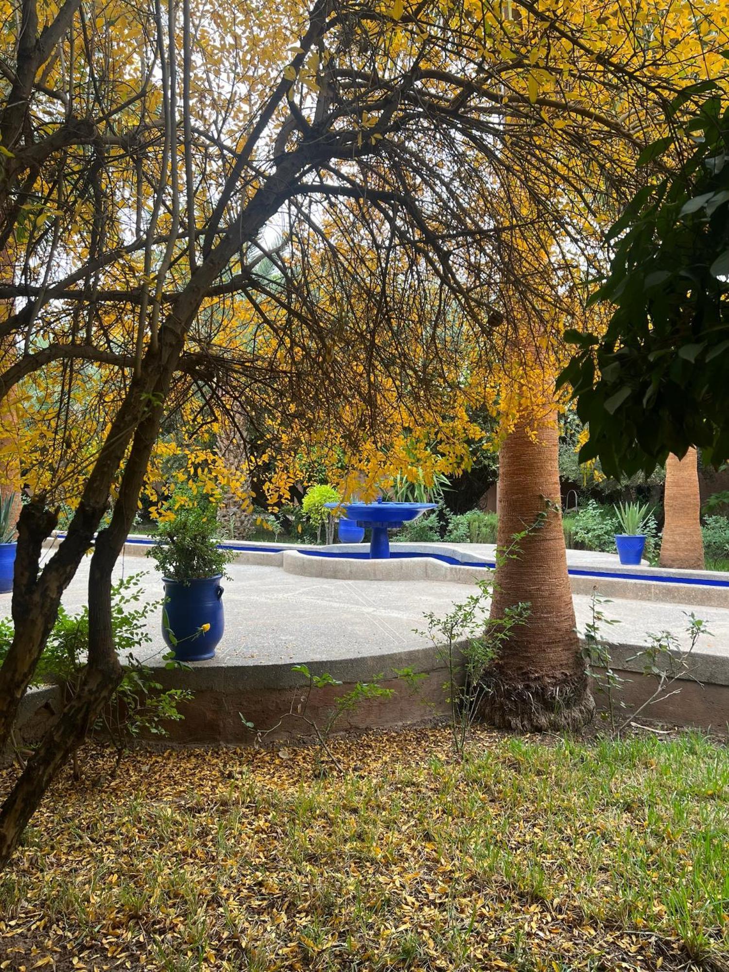 L'oliveraie Jnane Zitoune Hotel 4*