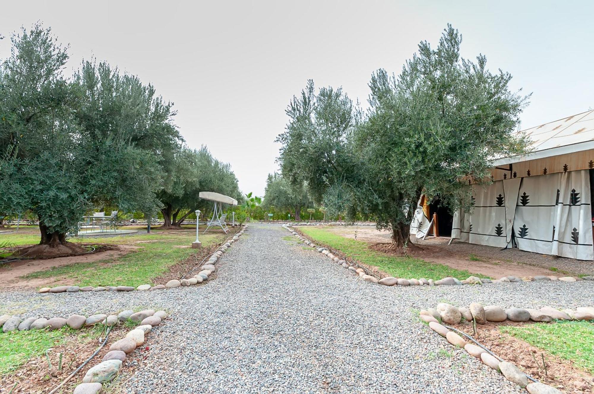 Agroturismo Ferme Sidi Safou & *