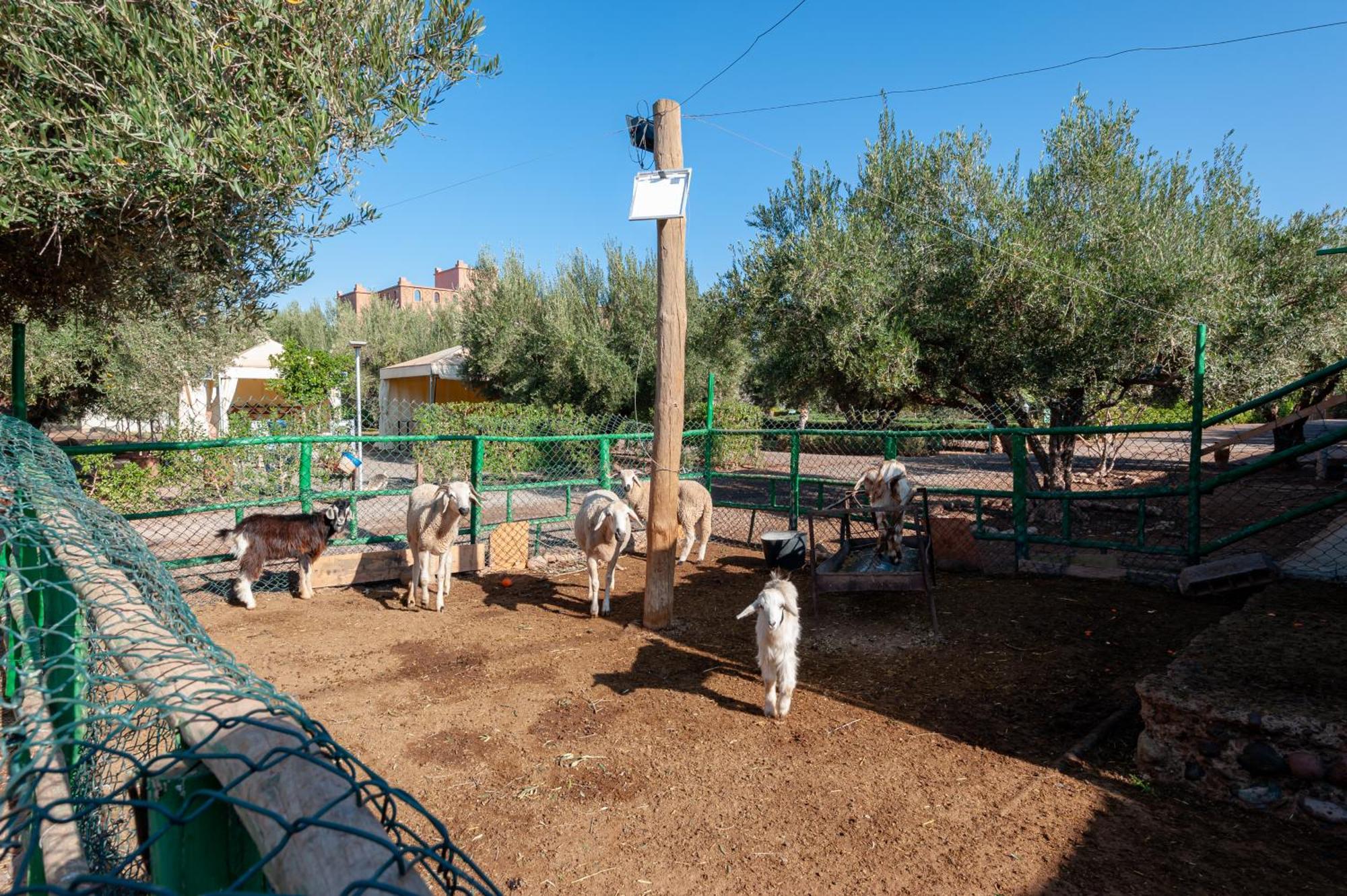 Agroturismo Ferme Sidi Safou &