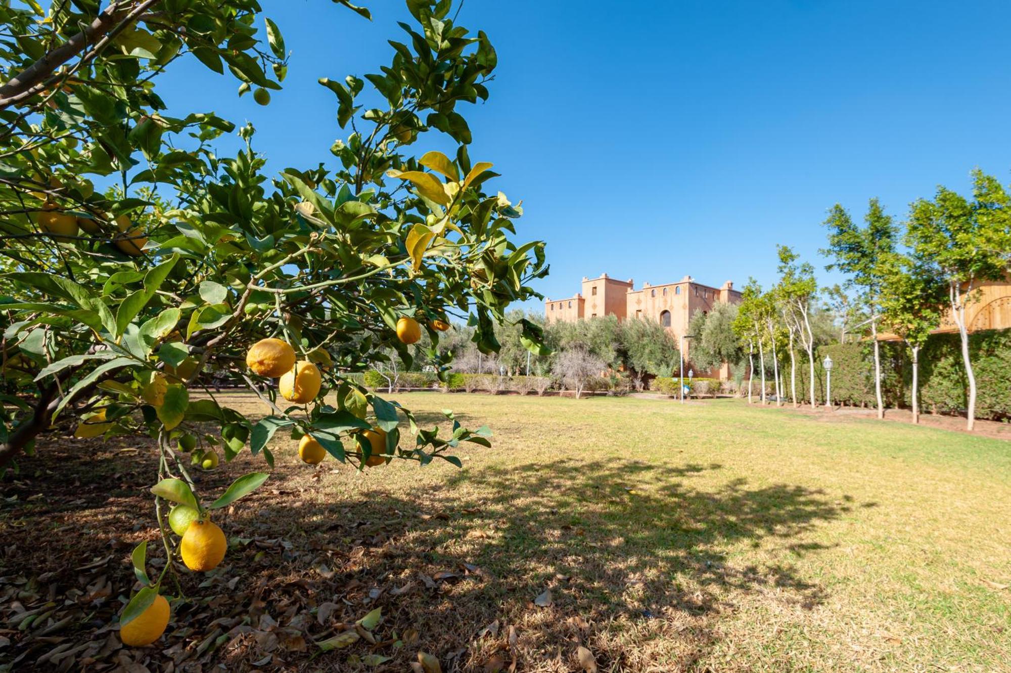 Ferme Sidi Safou & Agroturismo
