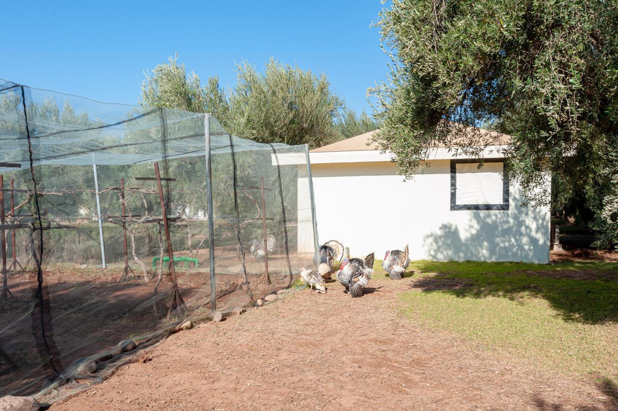 Ferme Sidi Safou & Agroturismo Marrakesh