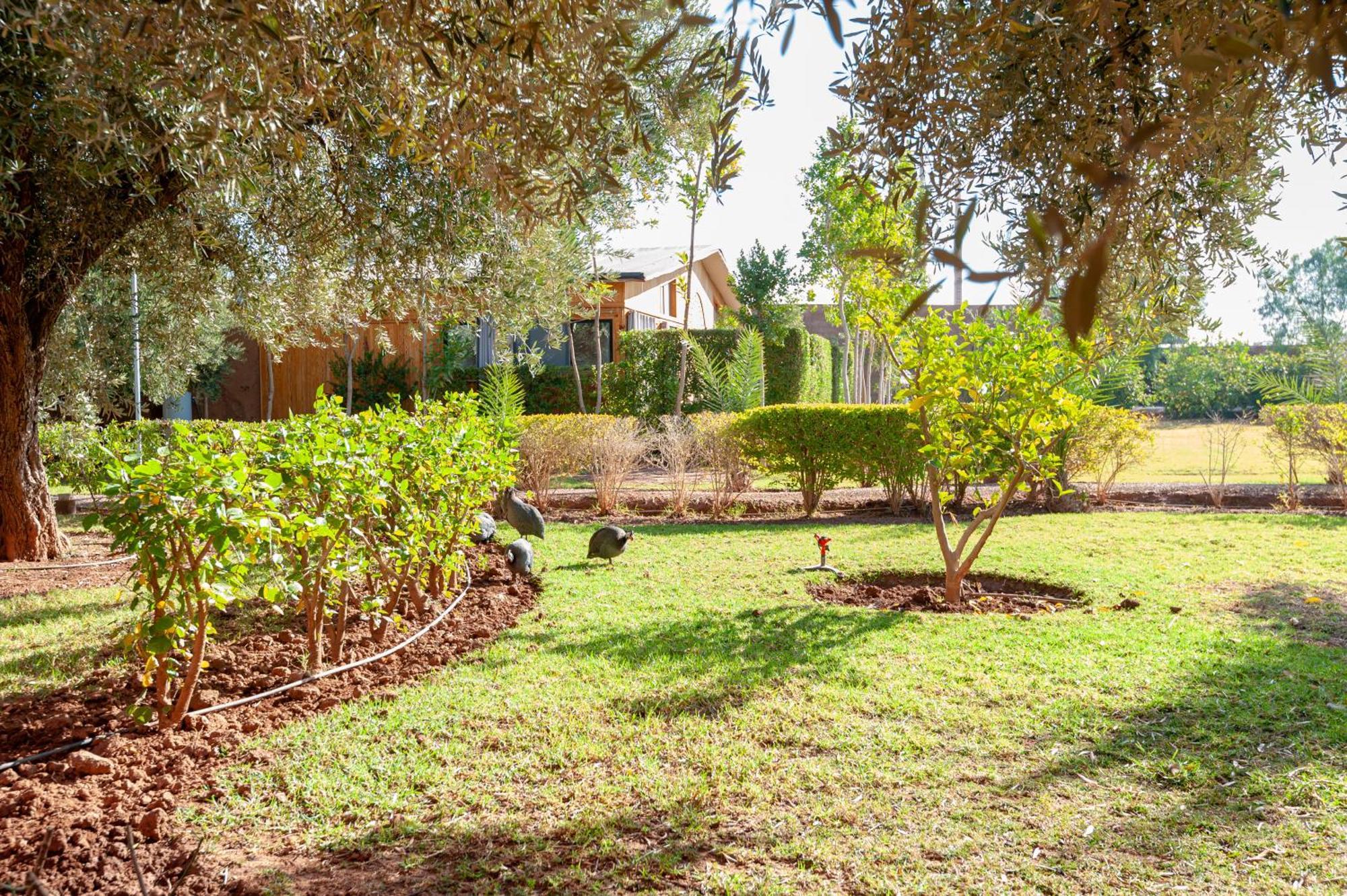 Ferme Sidi Safou & *