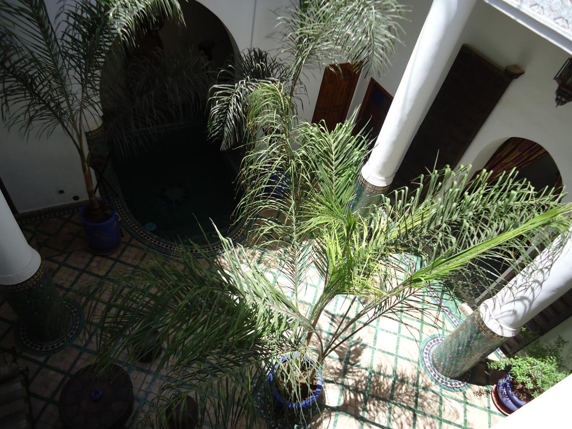 Tahar Oasis Marrakesh