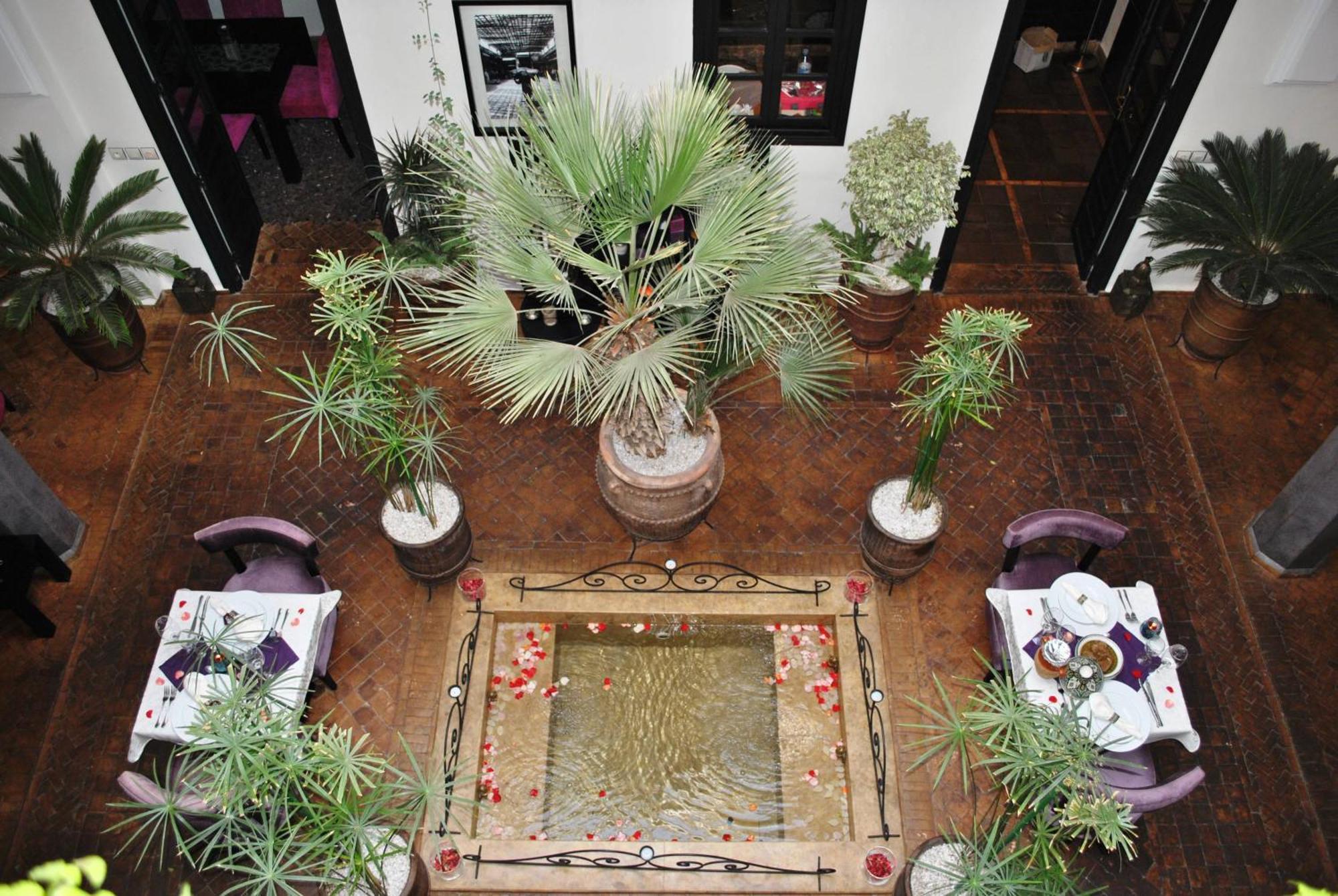 Riad Amiran & 4*