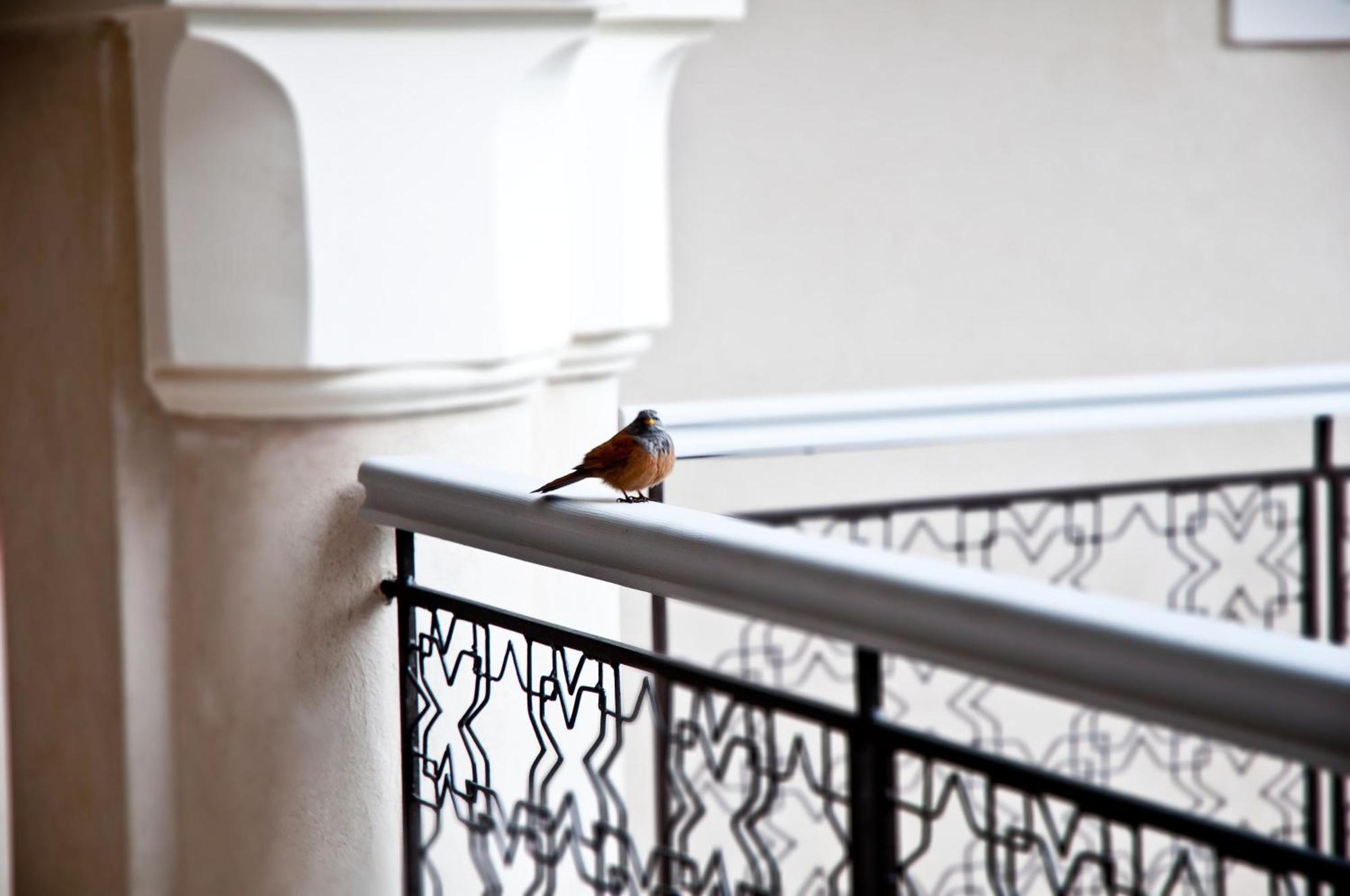 Riad Nashira & Marrakesh