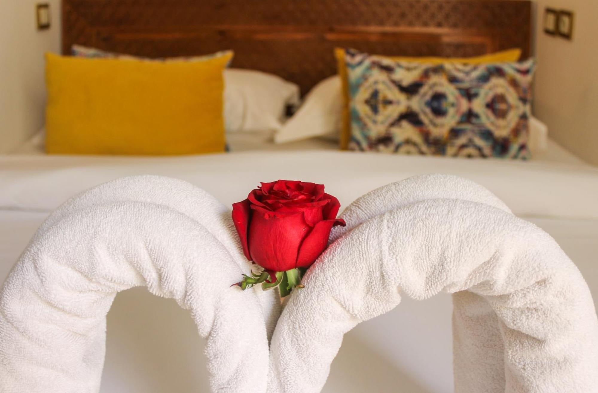 Riad Matins De Marrakech Marrakesh