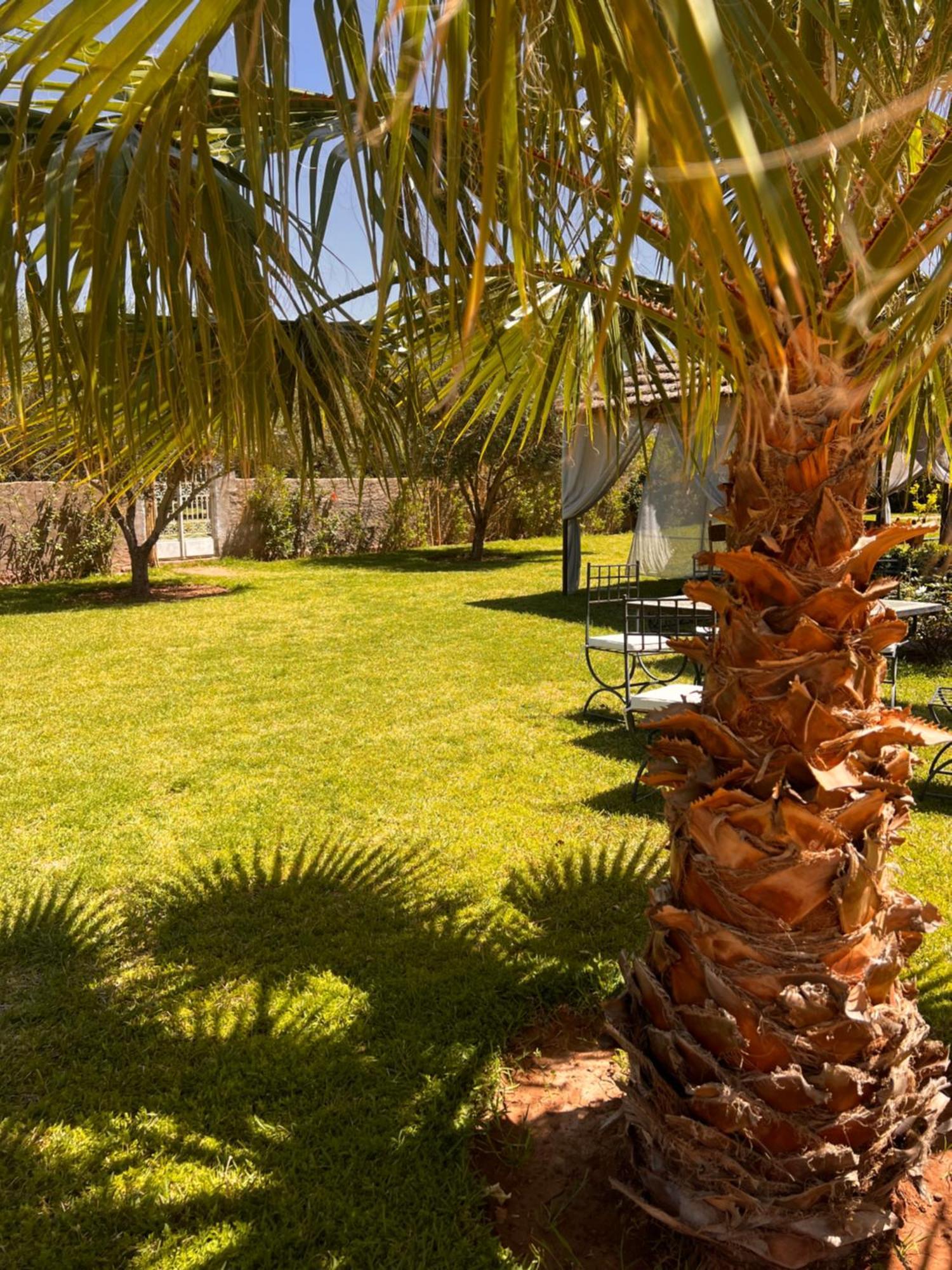Guest house Dar Hadjar