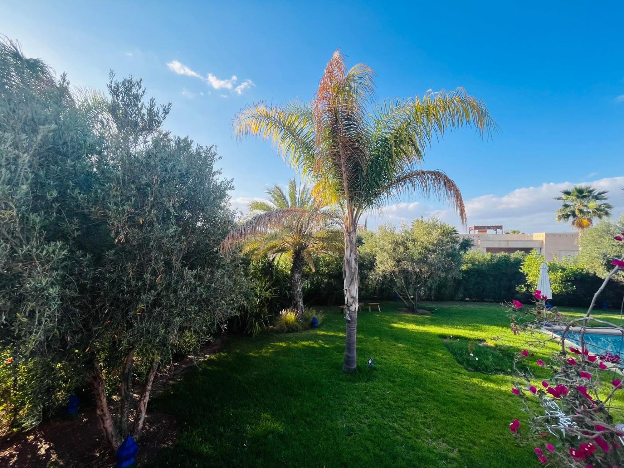 Villa Entire With Private Pool In Marrakech