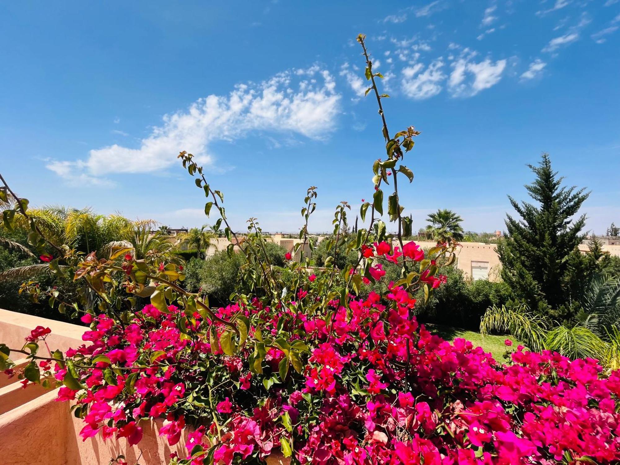 Villa Entire With Private Pool In Marrakech Marrakesh