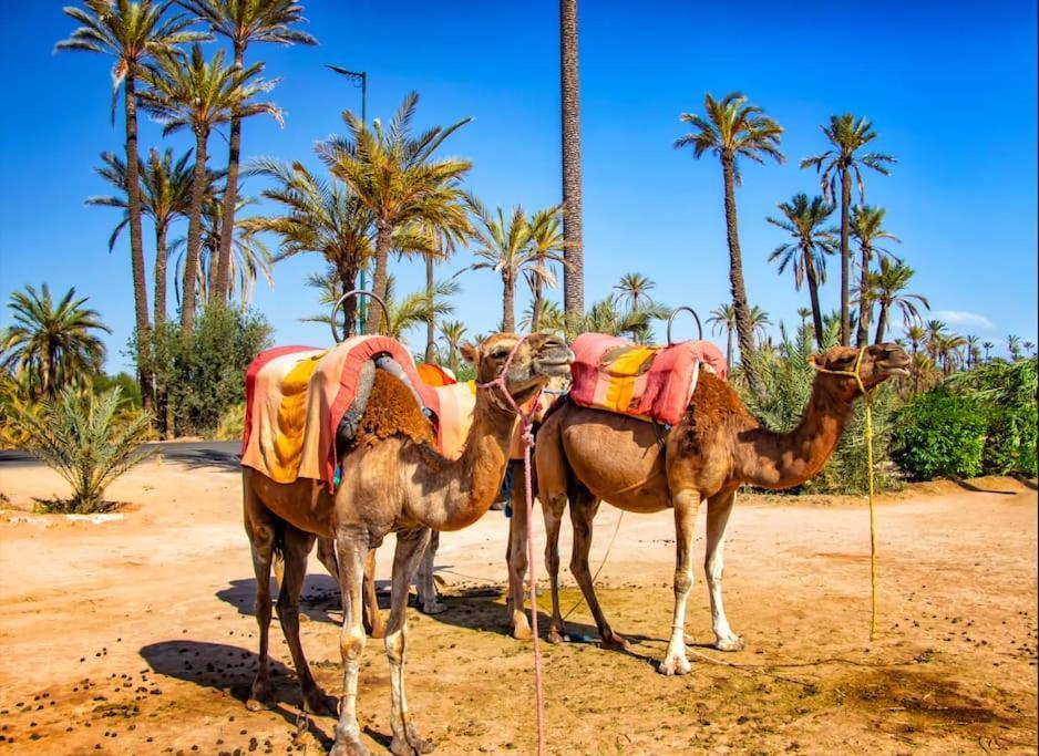 Apartment Sapphire Mirage - Marrakech - Prestigia *