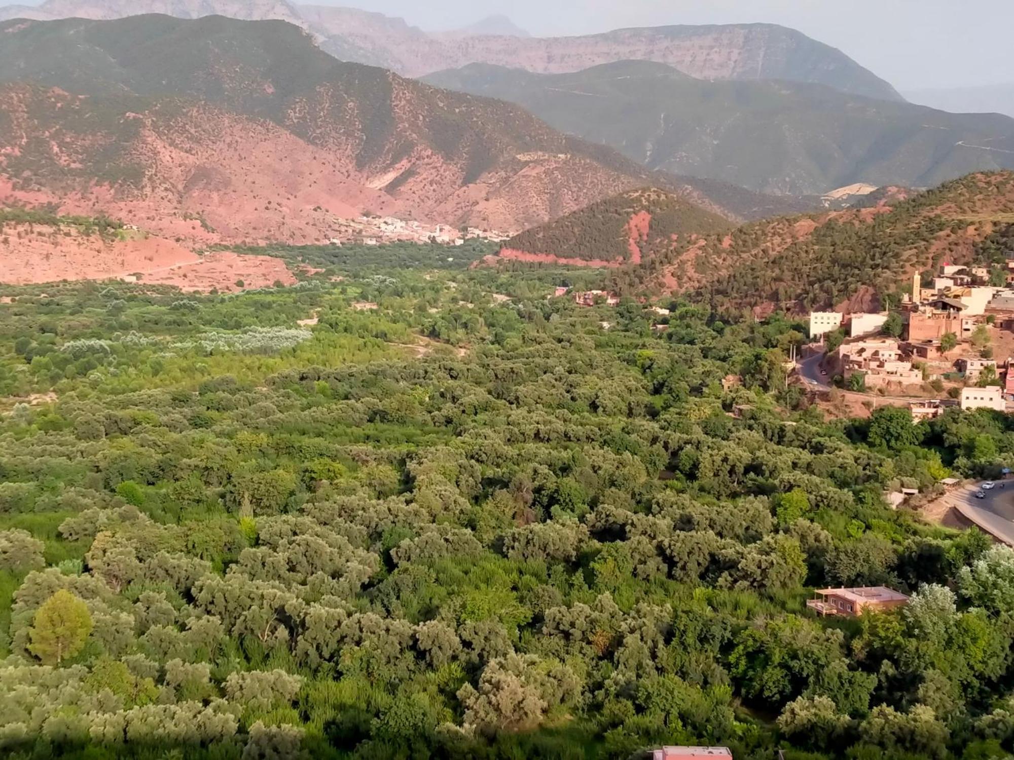 Marrakech Olive Haven Villa *