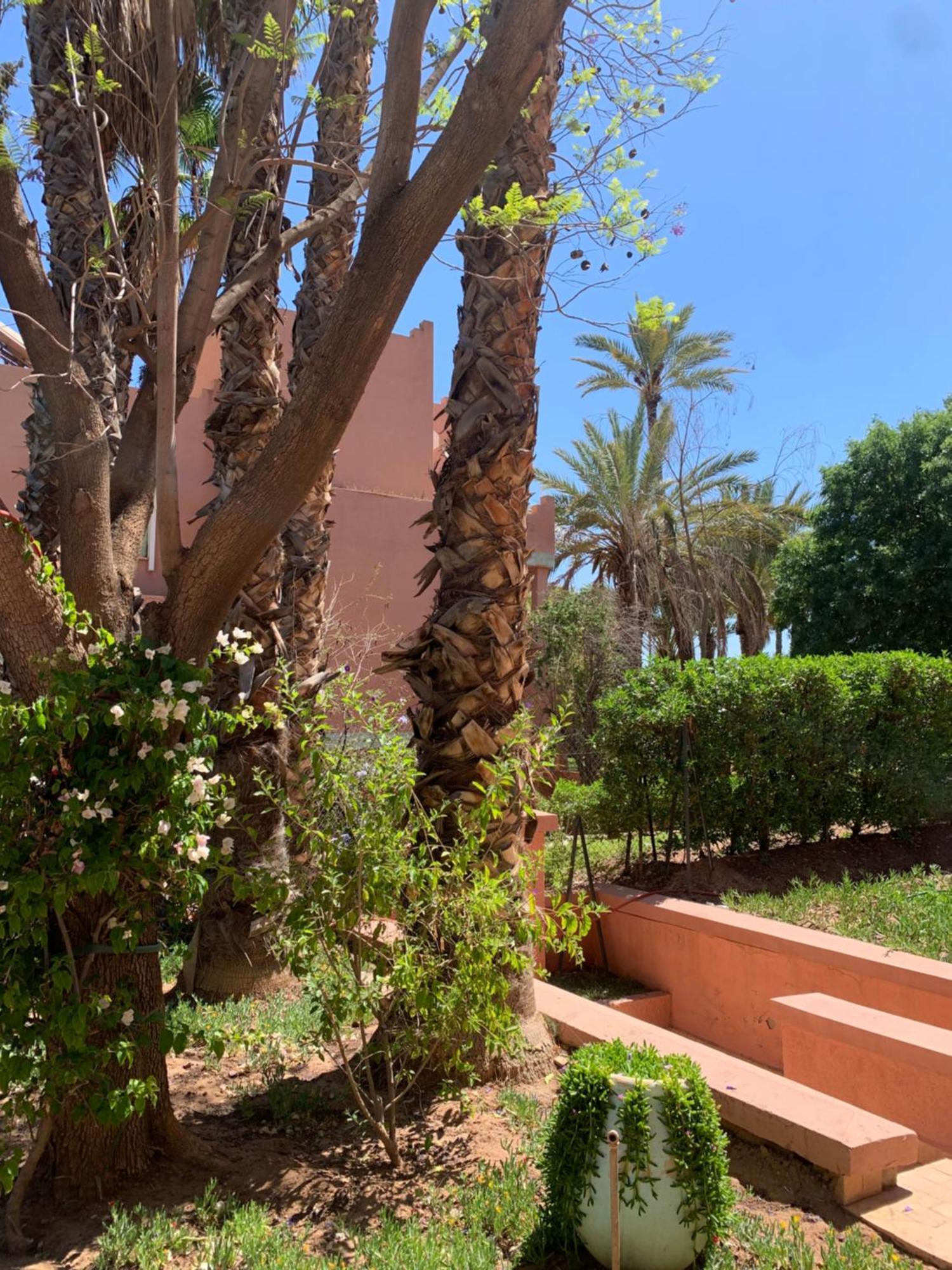 Avec Piscine Privatisee A La Palmeraie Villa Marrakesh