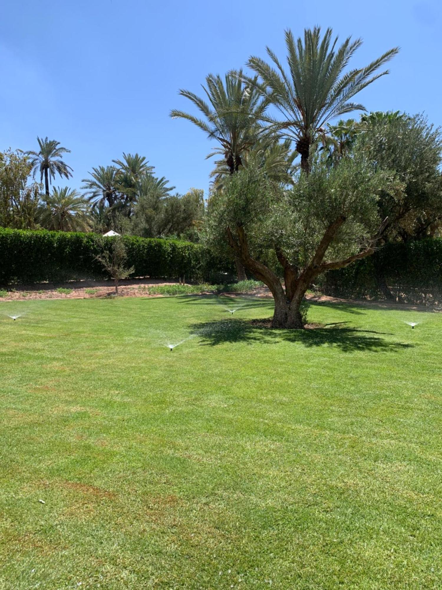 Villa Avec Piscine Privatisee A La Palmeraie *