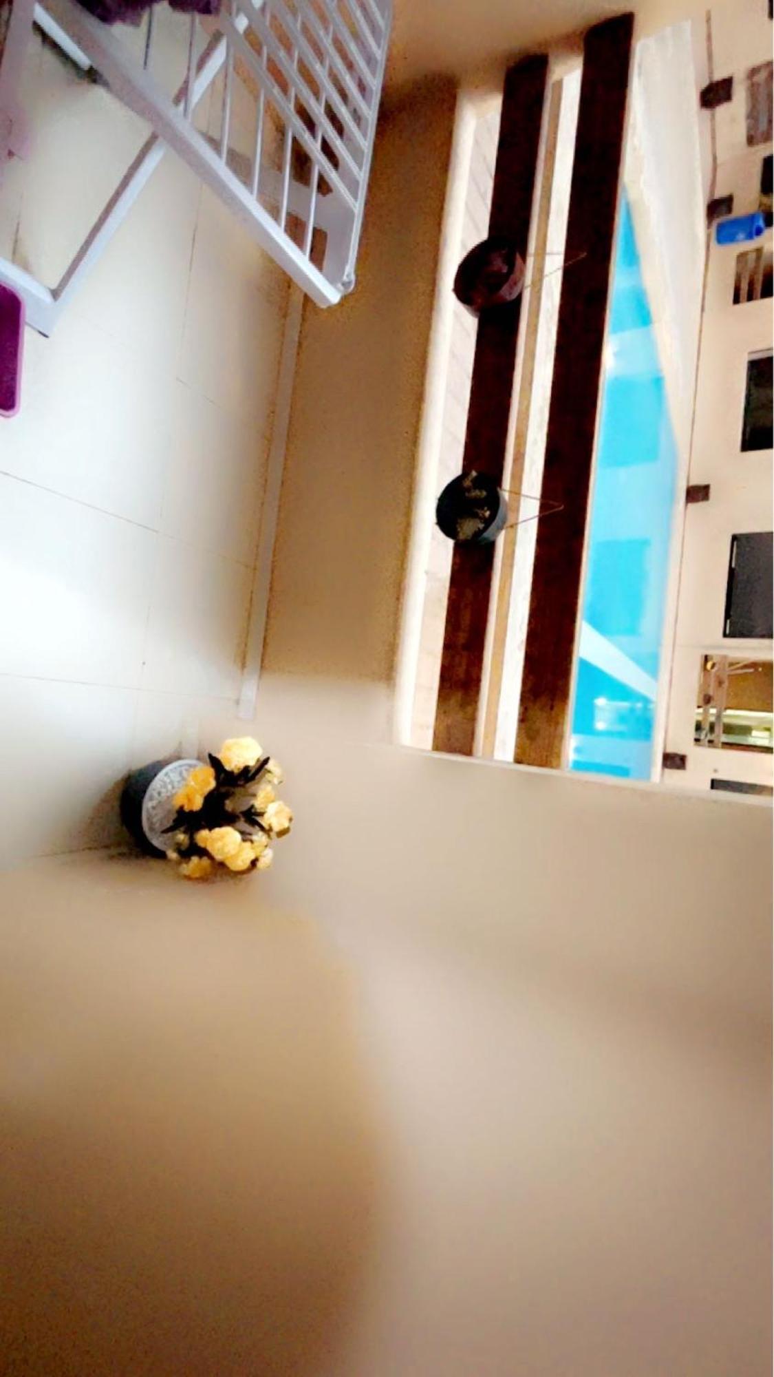 Apartamento De Luxe Et Moderne