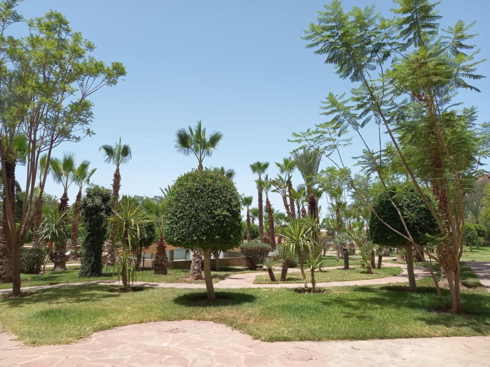 Apartamento Marrakech M Avenue Terrasse Jardin