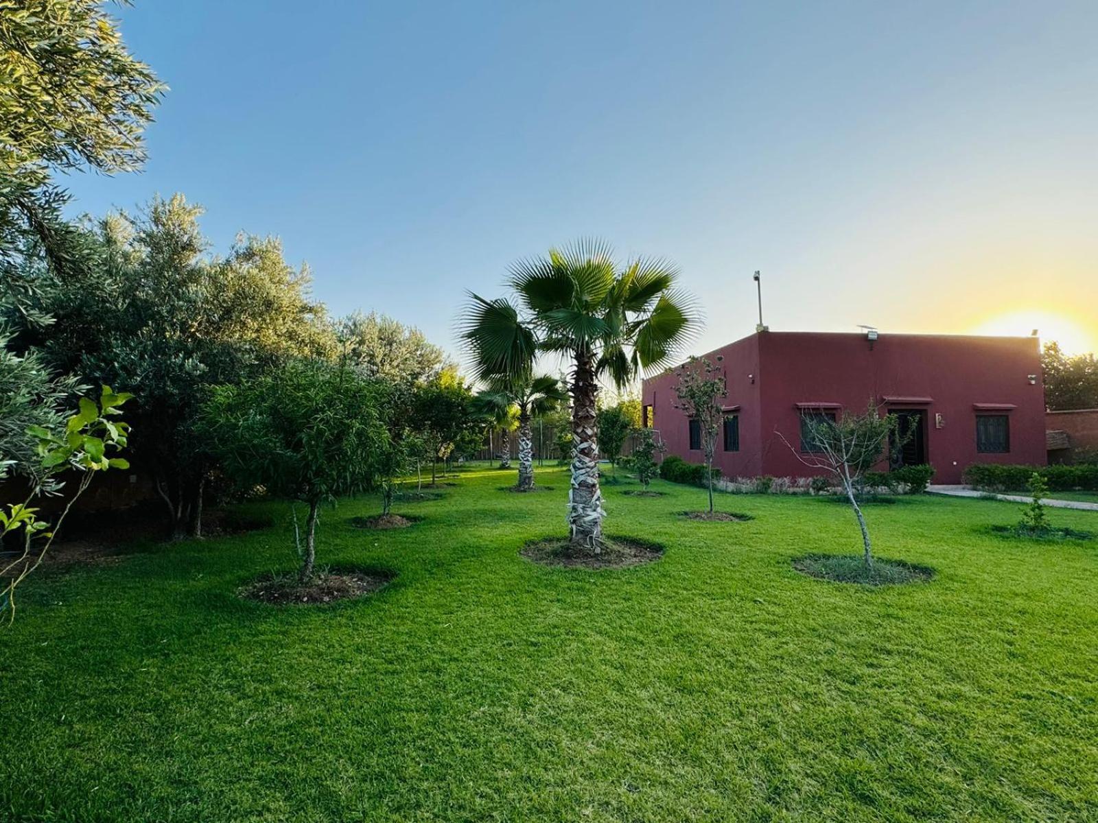 Salah Marrakesh