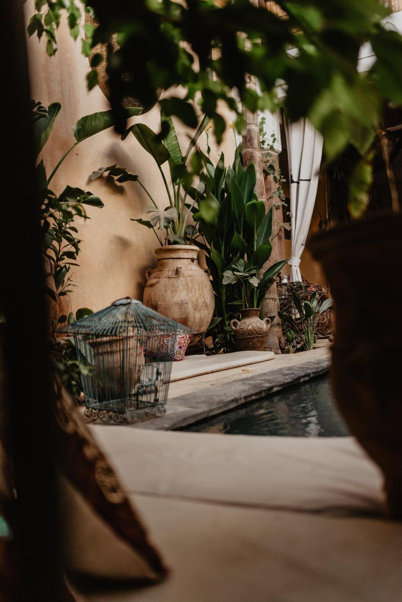 Riad Roxanne 3*