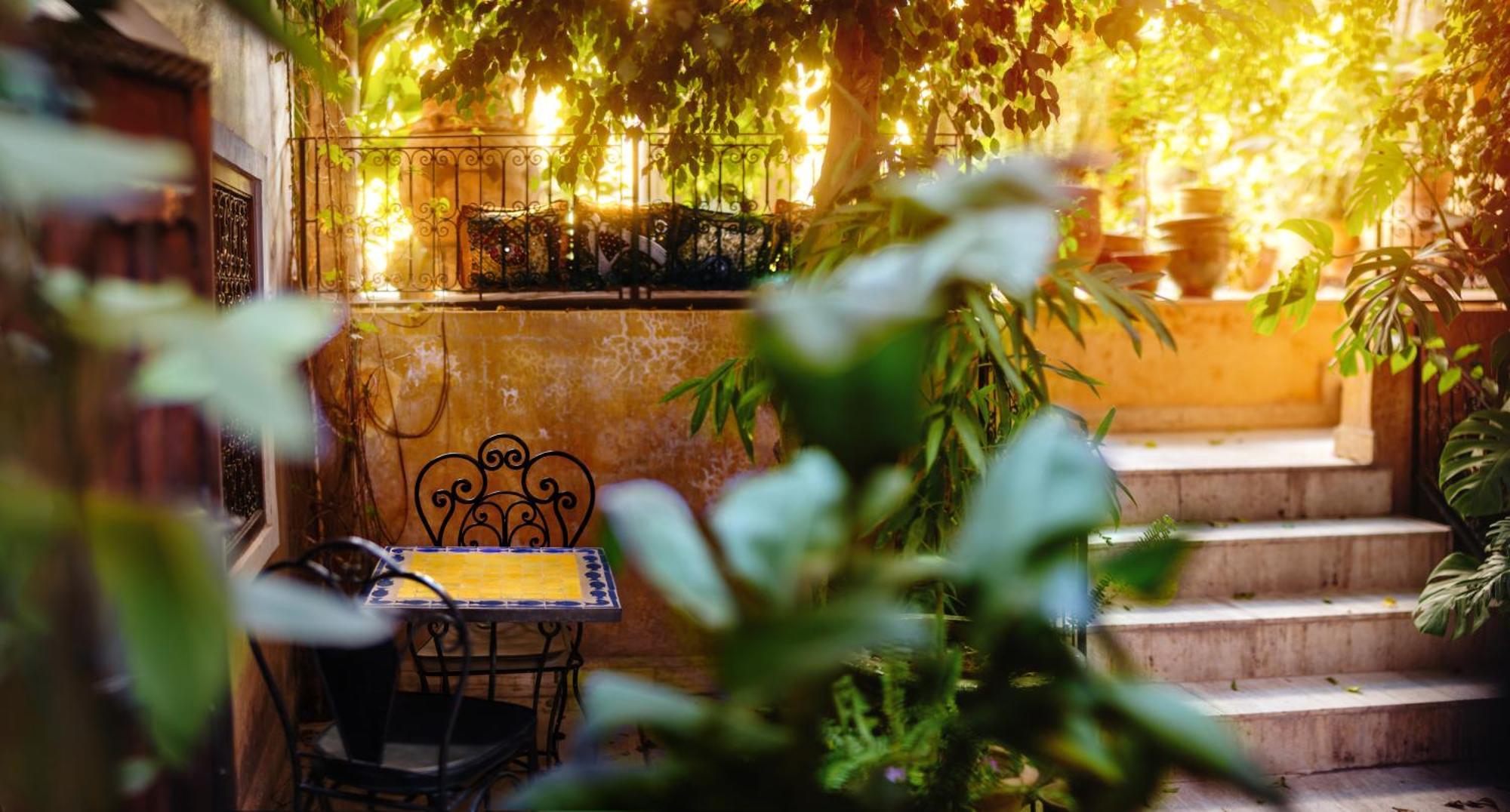 Roxanne Marrakesh