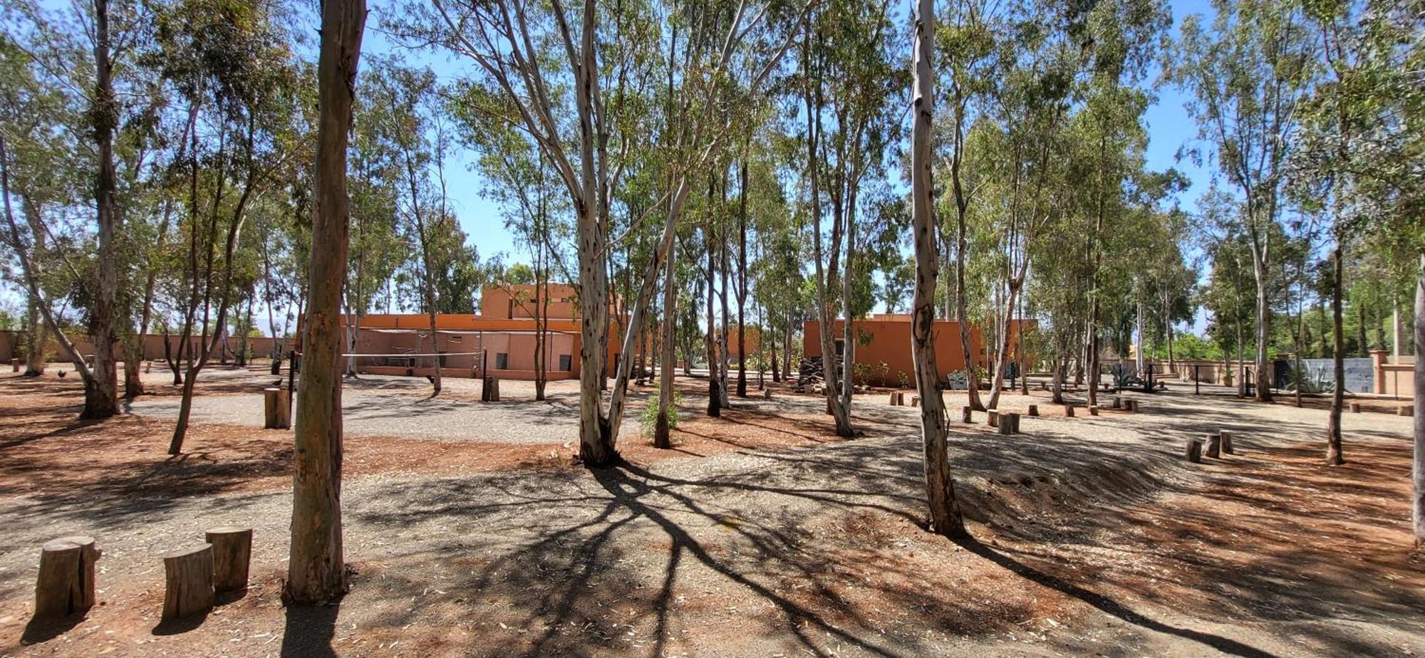 Le Jardin De Jeanne Marraquexe