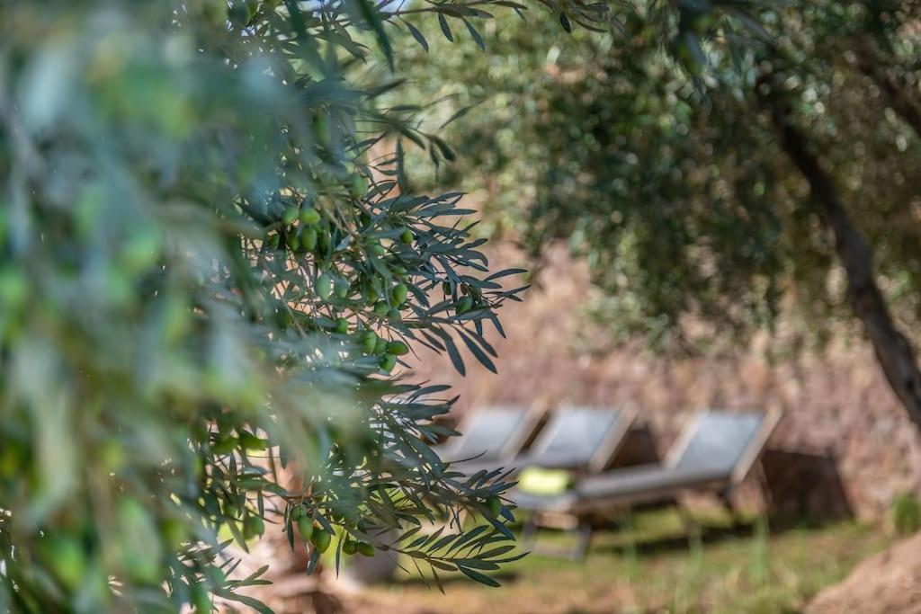 Private Villa, Up To 38 People, Massages, Catering *